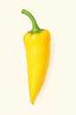 Gul spetspaprika