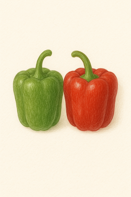 Paprika California Wonder